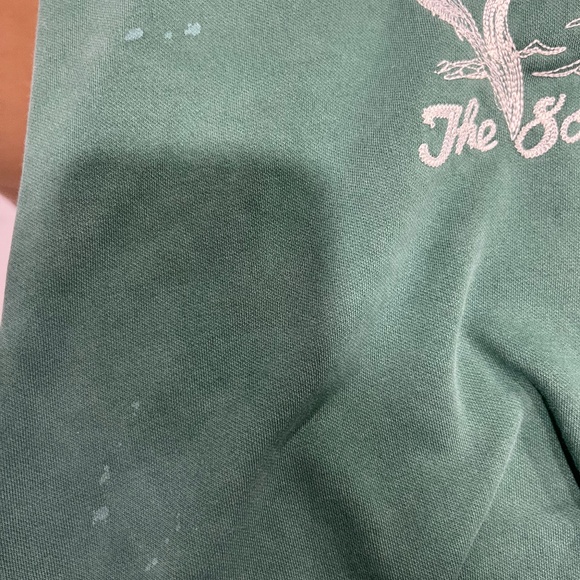 Polo Ralph Lauren Embroidered Fleece Graphic Hoodie - Picture 9 of 11